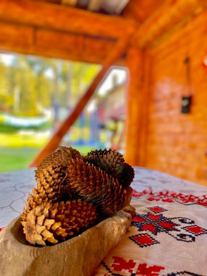 Готель Cabana Ancuta Виртоп Екстер'єр фото